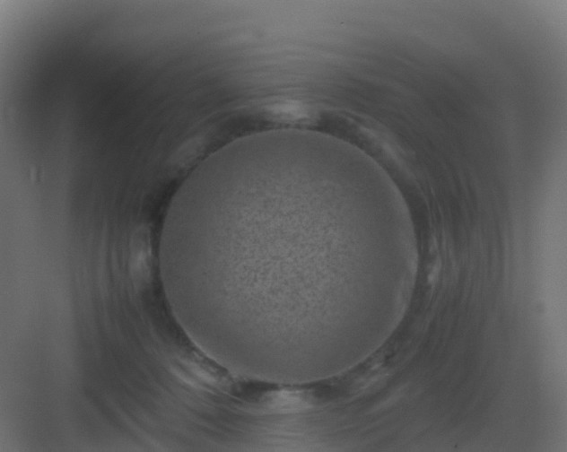 X0000082990320200702081841