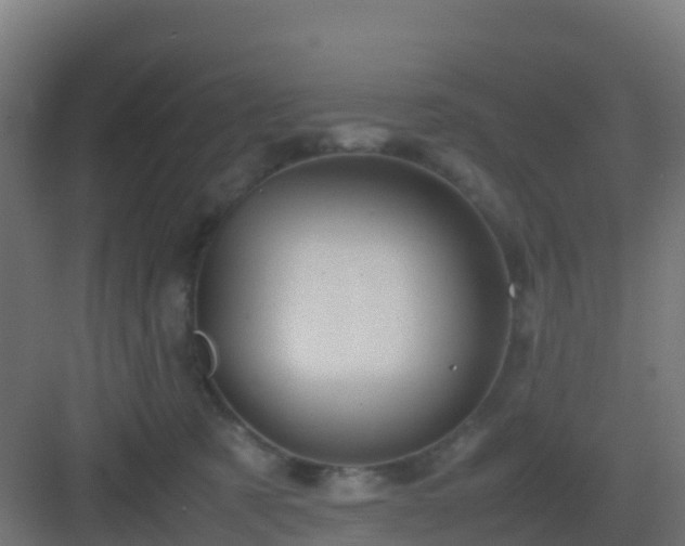 X0000082990321200702081841