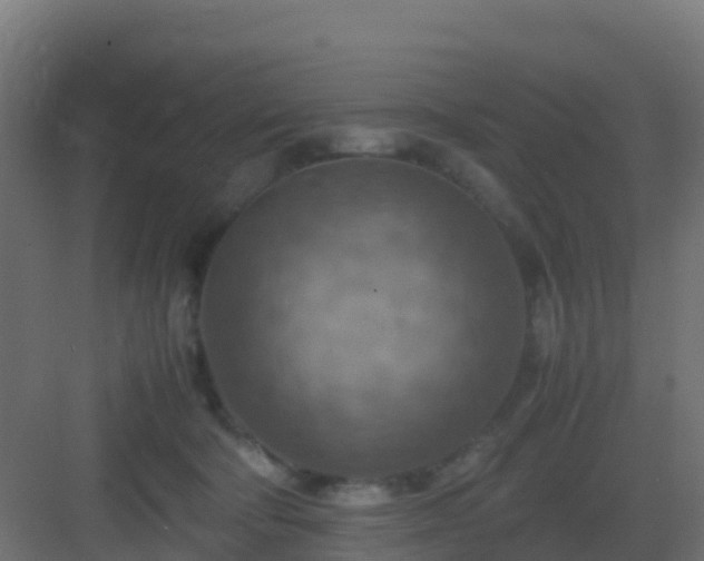 X0000082990322200702081841