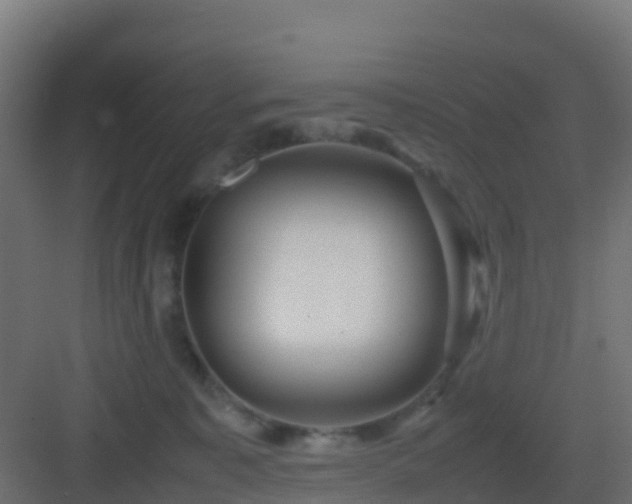 X0000082990323200702081841