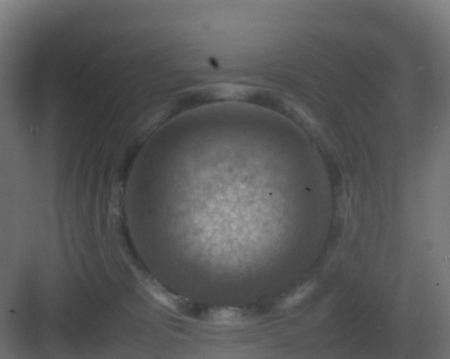 X0000082990325200702081841