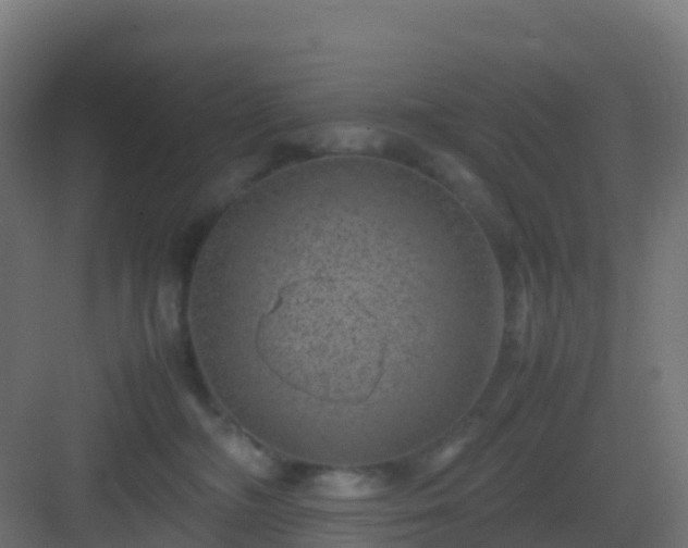 X0000082990326200702081841