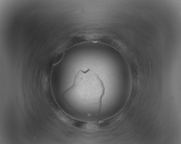 X0000082990327200702081841