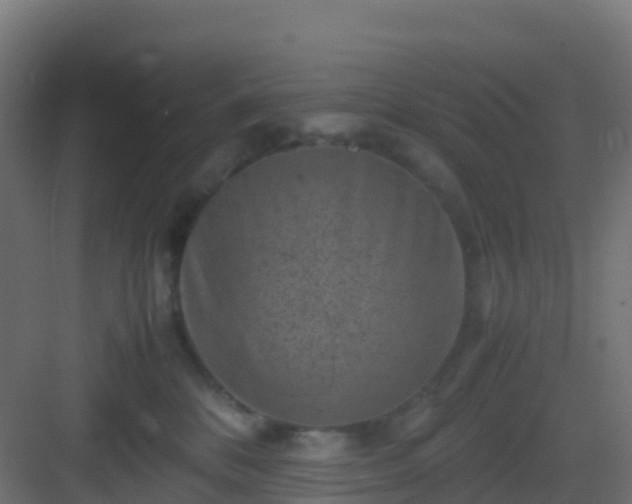 X0000082990328200702081841