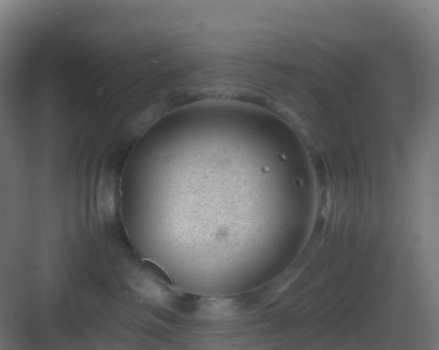 X0000082990334200702081841