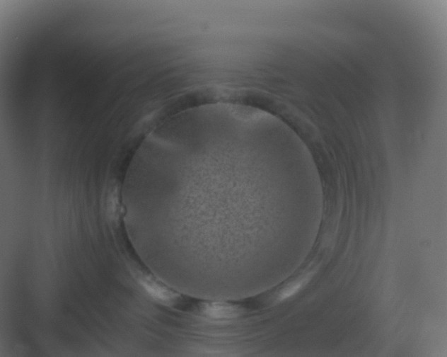 X0000082990336200702081841