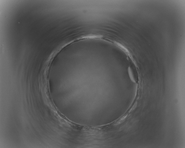 X0000082990337200702081840