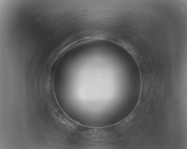 X0000082990338200702081840