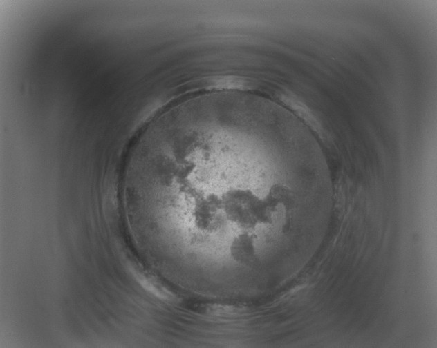 X0000082990347200702081840