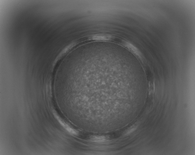 X0000082990349200702081840