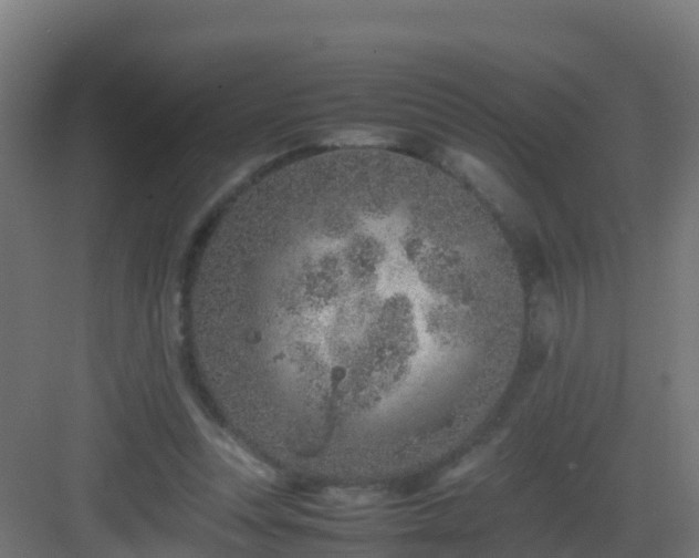 X0000082990351200702081840