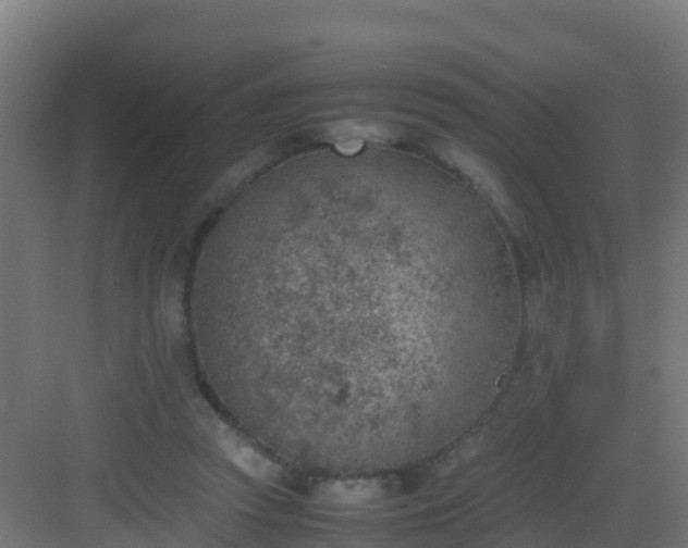 X0000082990353200702081840