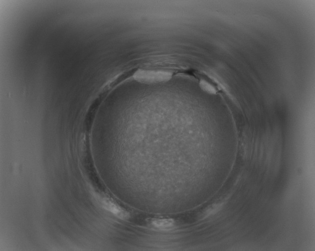 X0000082990355200702081840