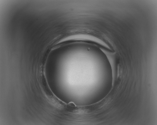 X0000082990356200702081840