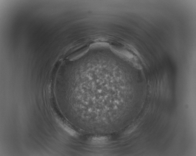 X0000082990357200702081840