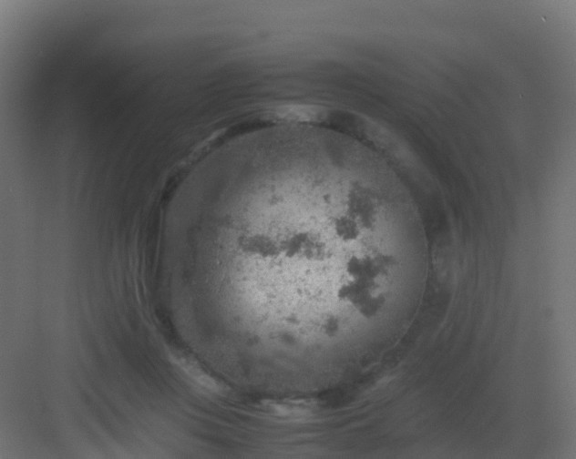 X0000082990359200702081840