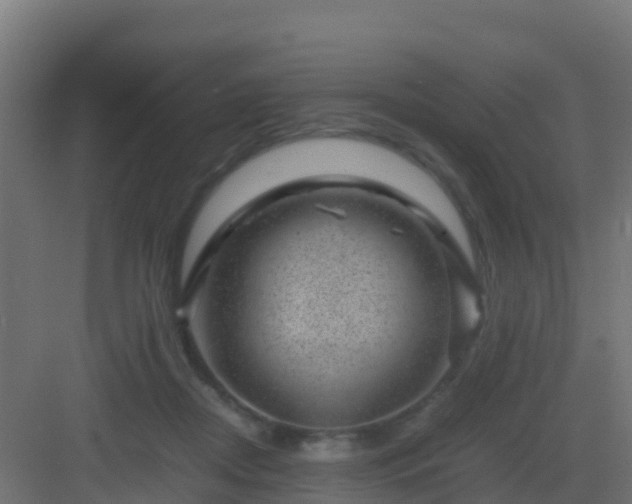 X0000082990362200702081840