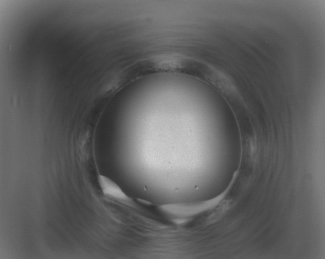 X0000082990364200702081840