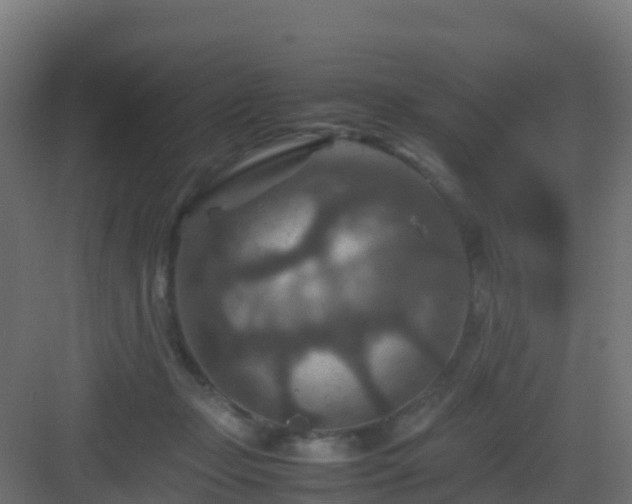 X0000082990365200702081840