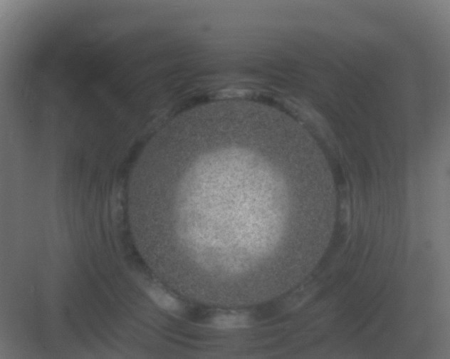 X0000082990369200702081840