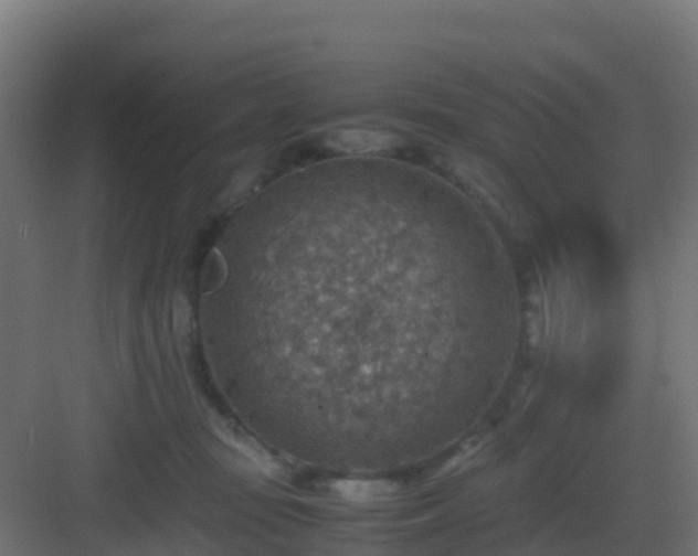 X0000082990371200702081840