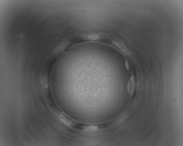 X0000082990374200702081841