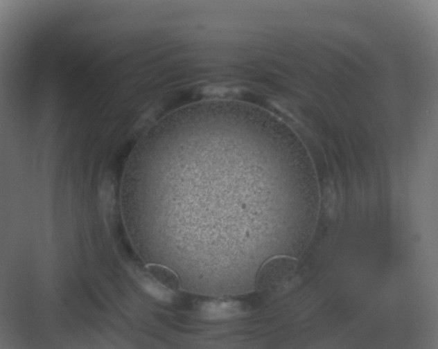 X0000082990375200702081841