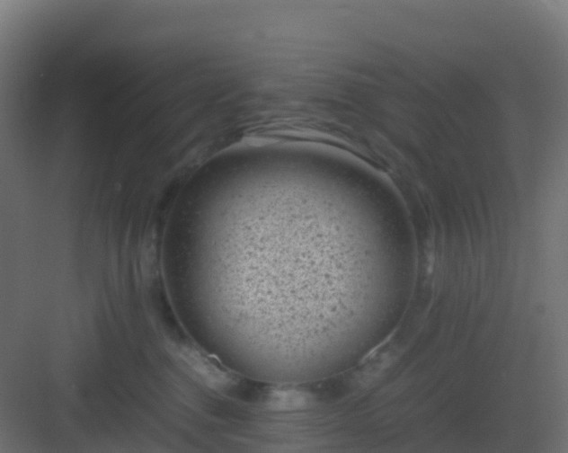 X0000082990376200702081841