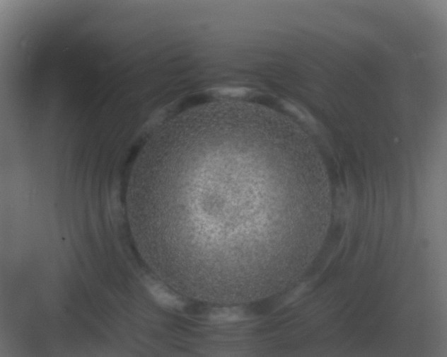 X0000082990377200702081841