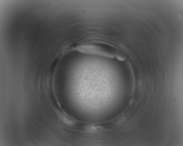 X0000082990379200702081841