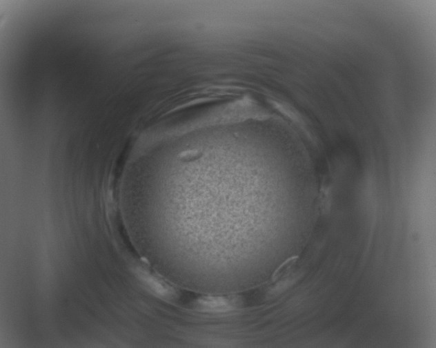 X0000082990381200702081841