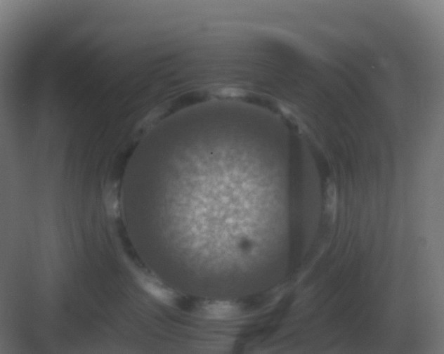 X0000082990383200702081841