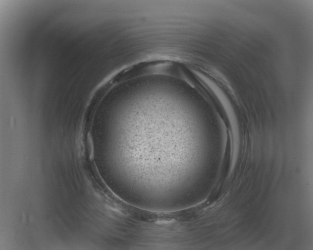 X0000082990388200702081840