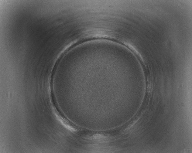 X0000082990390200702081840