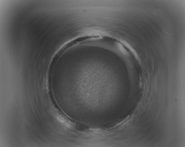 X0000082990391200702081840