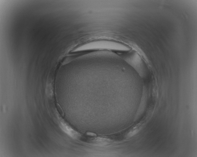 X0000082990393200702081840