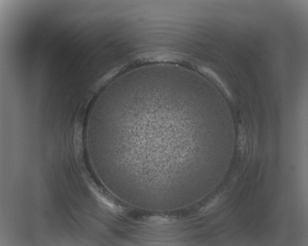 X0000082990394200702081840