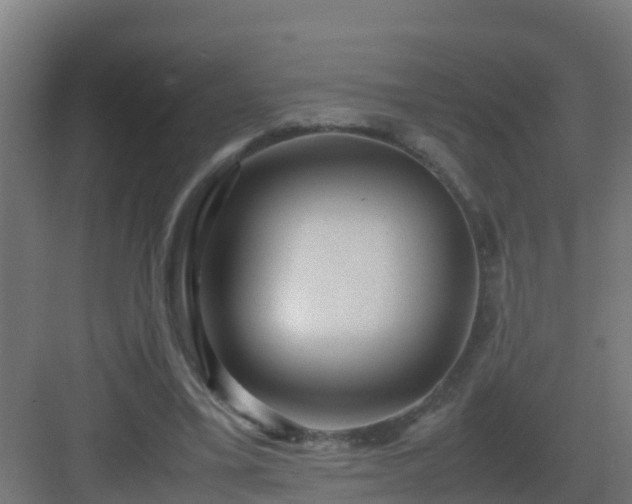 X0000082990395200702081840