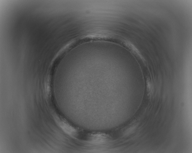 X0000082990396200702081840