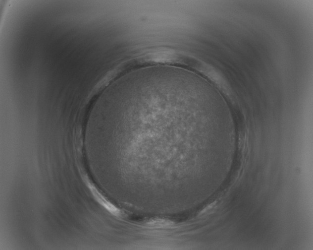 X0000082990397200702081840