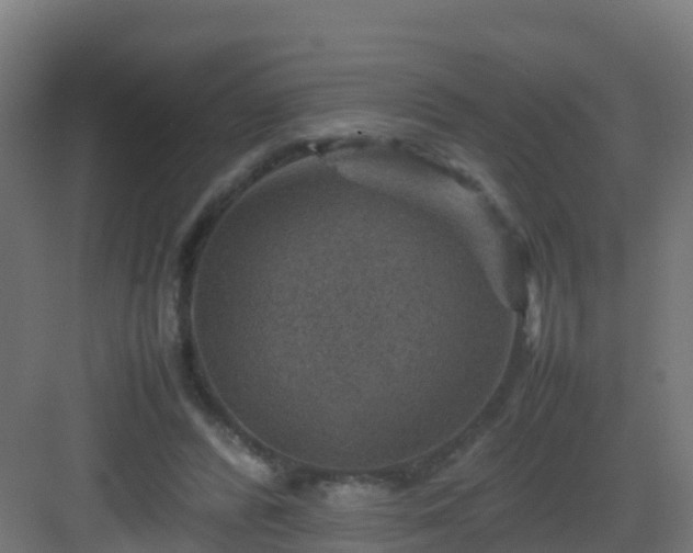 X0000082990400200702081840