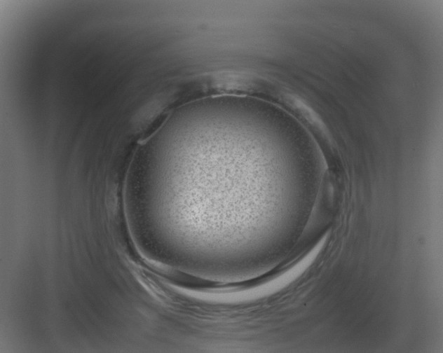 X0000082990401200702081840