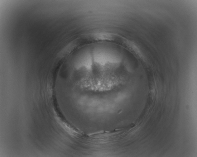 X0000082990402200702081840