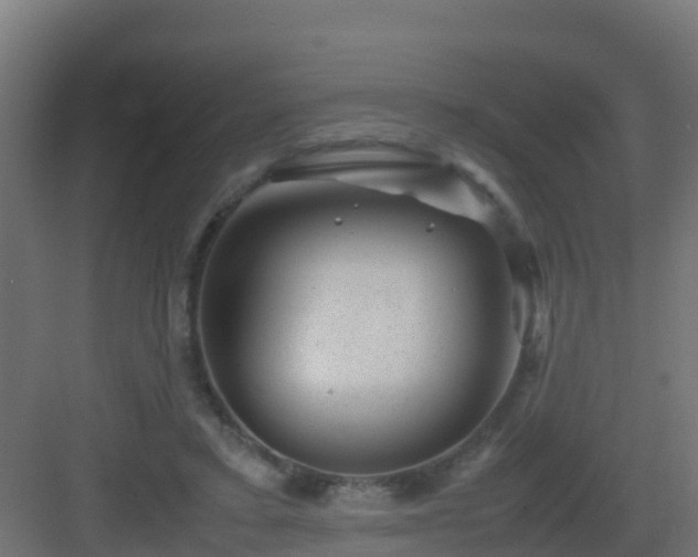 X0000082990403200702081840