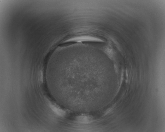 X0000082990404200702081840