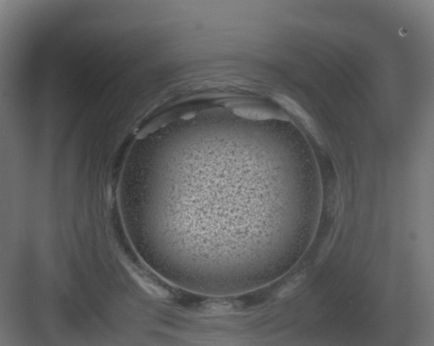 X0000082990405200702081840