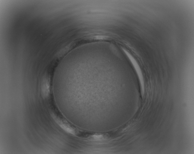 X0000082990406200702081840