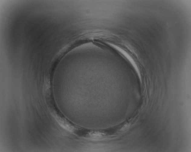 X0000082990407200702081839