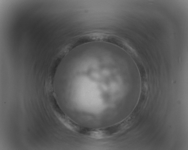 X0000082990411200702081839