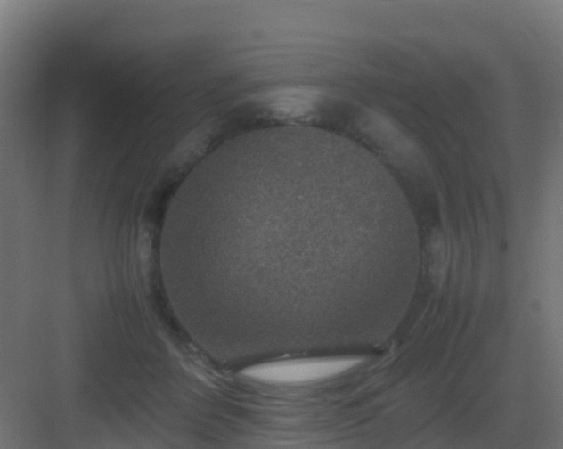 X0000082990412200702081839